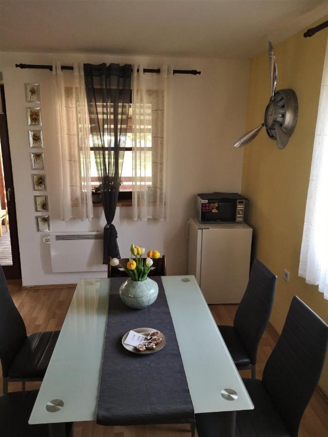 Terme Catez Apartment 7 Catez ob Savi Esterno foto